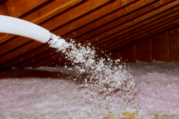 Best Insulation Installation Services in Bay St Louis, MS